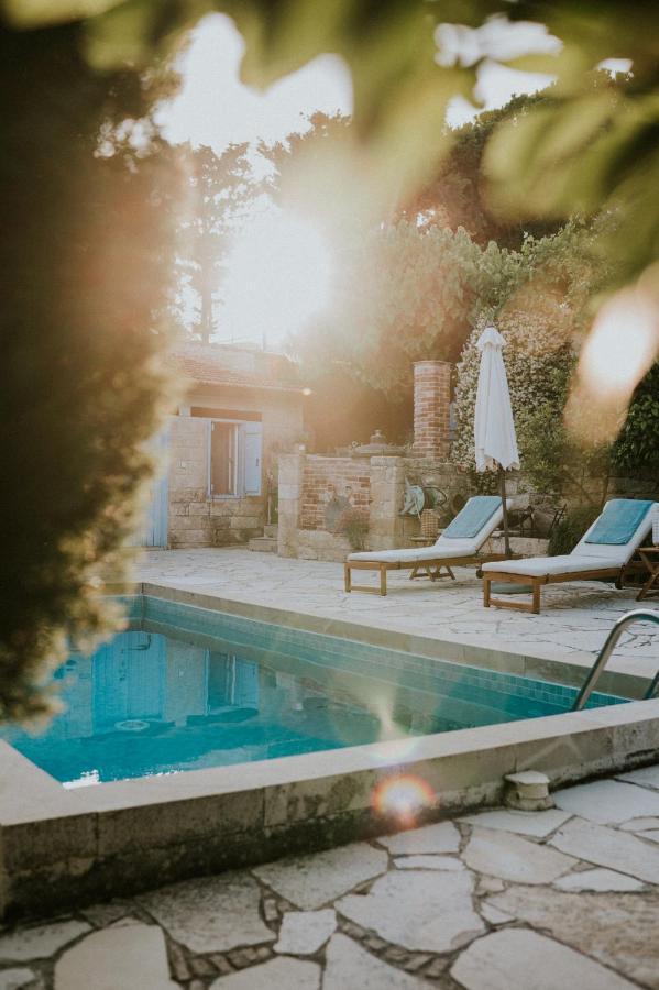 Villa Avgoustis Πάχνα Εξωτερικό φωτογραφία
