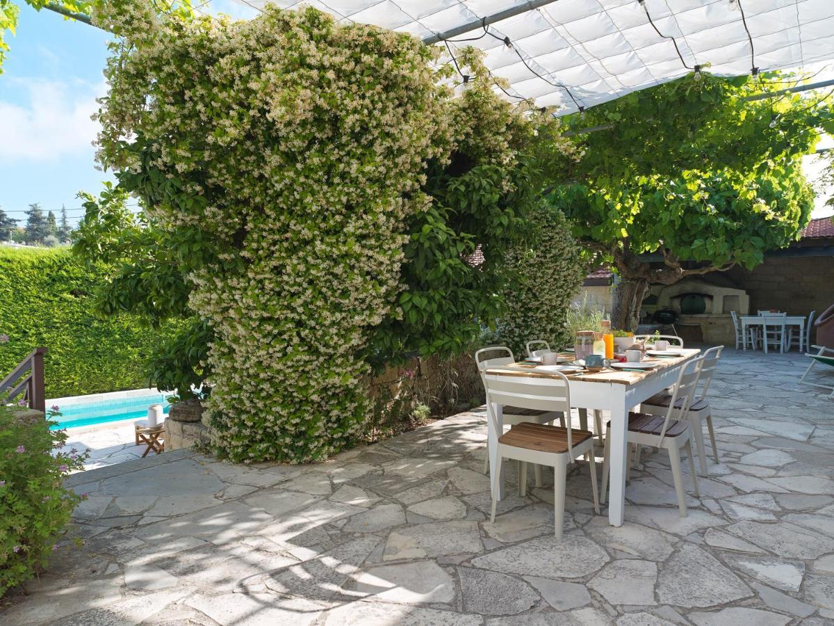 Villa Avgoustis Πάχνα Εξωτερικό φωτογραφία